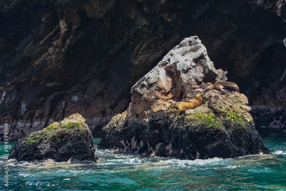 Sea lions lounge on rock outcrops on the Islas Ballestas. Paracas, Peru