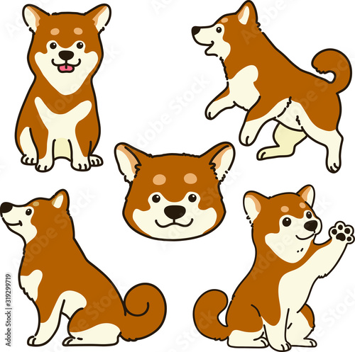 Set of outlined cute brown Shiba Inu illustrations 