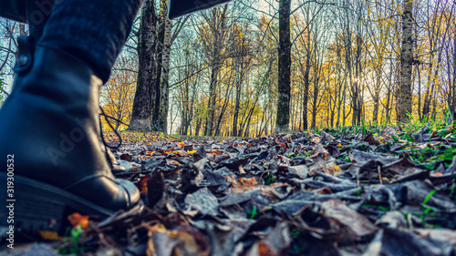 Concept of autumn. Person walking on fallen yellow leaves in autumn Park, women's feet, 16:9