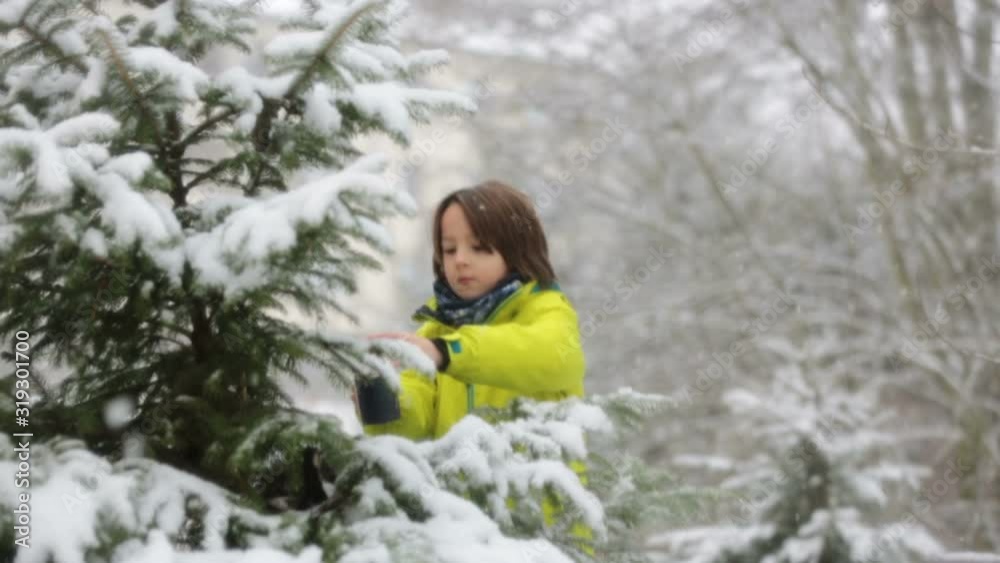 Sweet toddler boy, playing with snow on playground, kid play with snow Sweet toddler boy, playing with snow on playground, kid play with snow