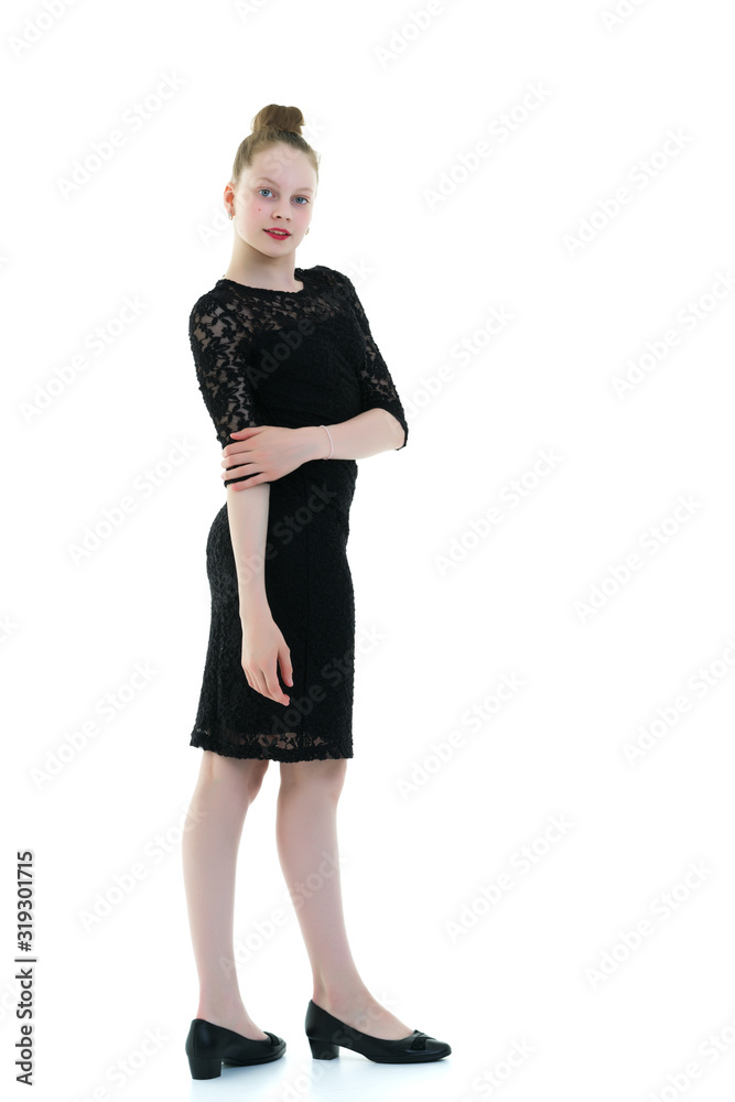 Little girl in an elegant dress. Little girl in an elegant dress.
