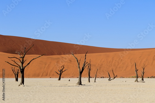 Sossusvlei Namib