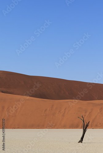 Deserto Namibia