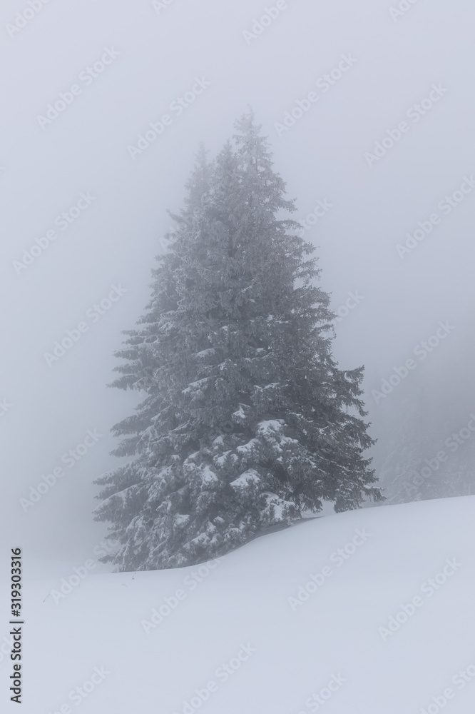 Fantastische Winterlandschaft Fantastische Winterlandschaft