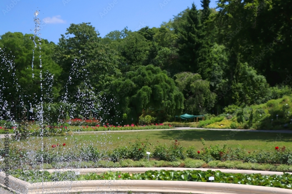 Fountain in the botanical garden in Zagreb, Croatia. Selective focus.