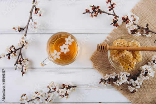 Spring composition. A cup of herbal tea and a jar of honey on a grey beton background, cherry flowers top view. Place for text. Healthy food concept