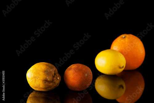 Bad and rotten vegetable food on a dark background. photo