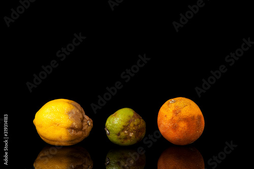 Spoiled fruits. Improper storage of citrus fruits. photo