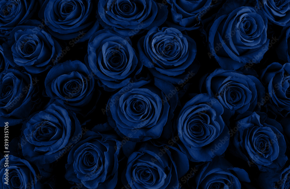 Beautiful blue roses background. Classic Blue color. Fashionable color