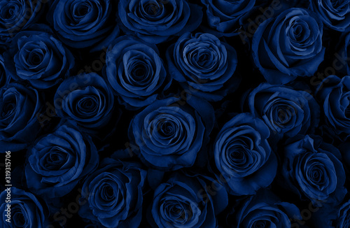 Fototapeta Naklejka Na Ścianę i Meble -  Beautiful blue roses background. Classic Blue color. Fashionable color