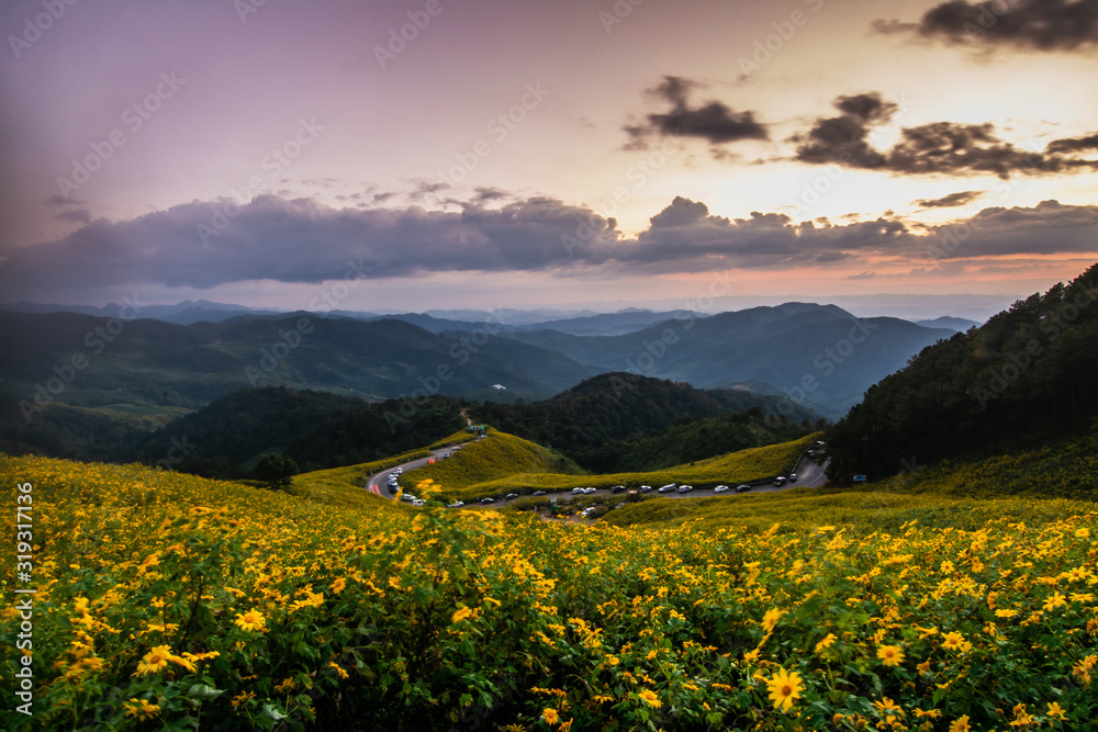 Obraz premium Landscape nature flower Tung Bua Tong Mexican sunflower field ,Mae Hong Son,Thailand