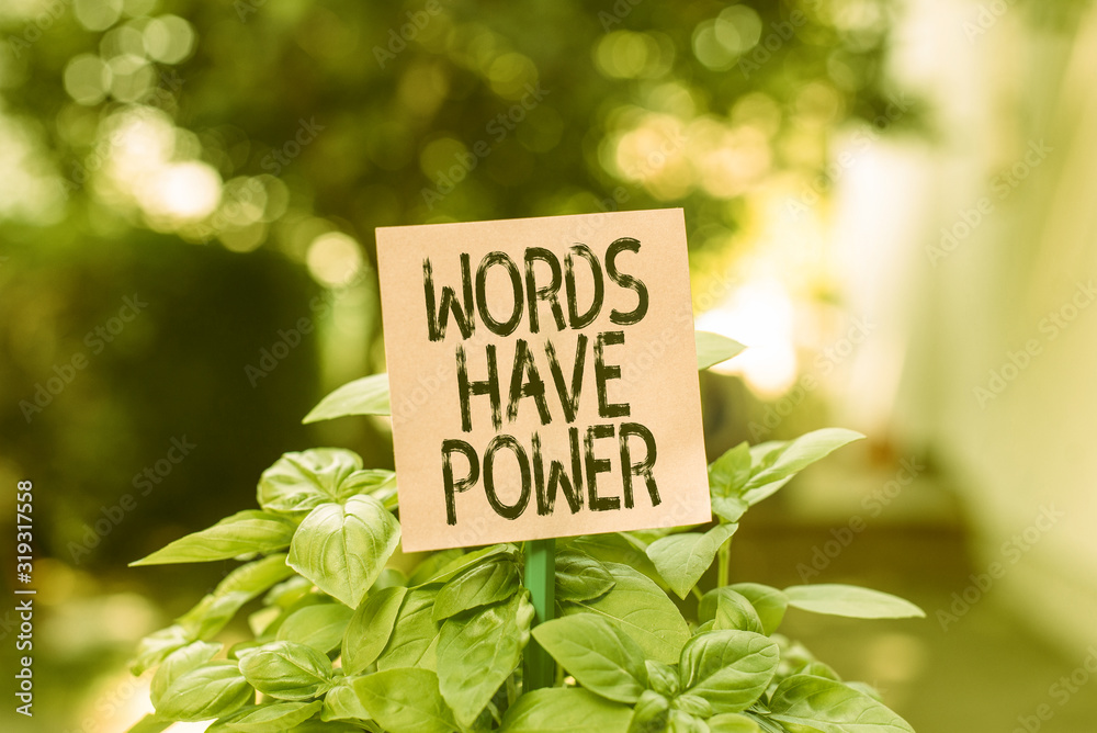 Text sign showing Words Have Power. Business photo showcasing Energy Ability to heal help hinder humble and humiliate Plain empty paper attached to a stick and placed in the green leafy plants