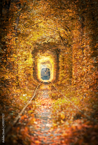 old railway with a train in tunnel of love during autumn time. Orange background imaga of fall. photo