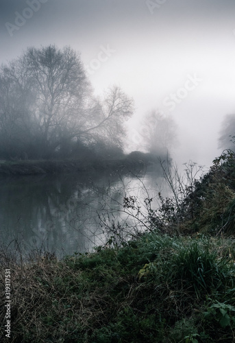 Dead winter mist