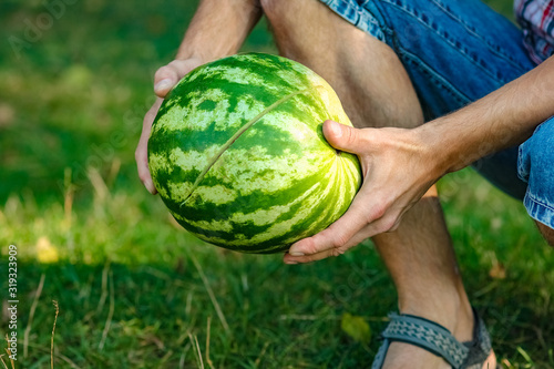 watermelon in the hands of a guy on nature in the park