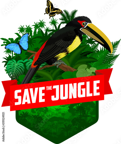 vector jungle rainforest emblem with pale-mandibled aracari toucanet and morpho butterflies	