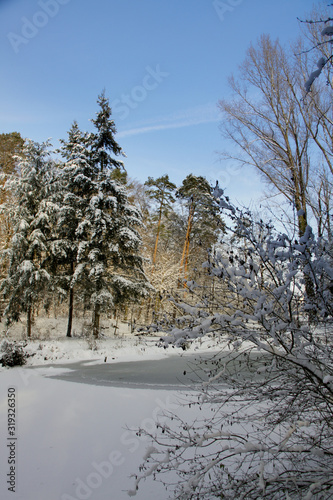 walking in the winter