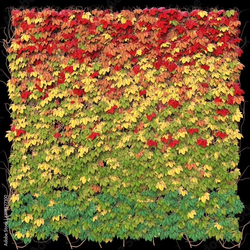 Composition of autumn leaves. 3D illustration