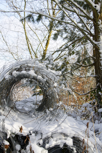Chain-link fence in the forest