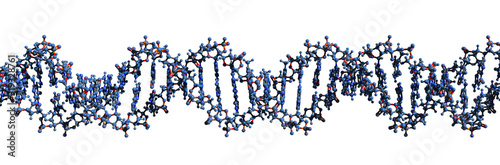 3D image of DNA macromolecule skeletal formula - molecular chemical structure of  deoxyribonucleic acid double helix isolated on white background,
