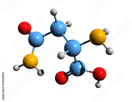 Fototapeta Naklejka Na Ścianę i Meble -  3D image of asparagine skeletal formula - molecular chemical structure of aminocarbamoylpropanoic amino acid isolated on white background
