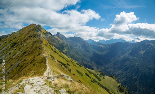 Fototapeta Naklejka Na Ścianę i Meble -  górska ścieżka, tatry