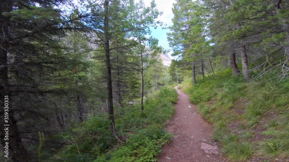 hiking on Swiftcurrent pass trail in Glacier National Park GoPro POV hiking on Swiftcurrent pass trail in Glacier National Park GoPro POV