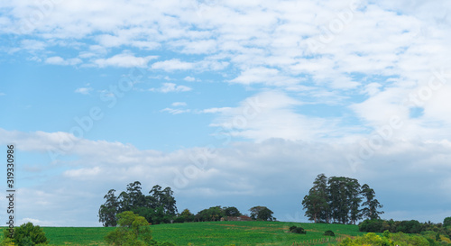 farm in southern brazil and the blue sky in the background