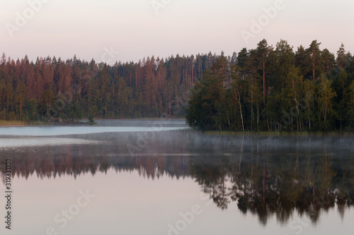 landscape on a forest lake