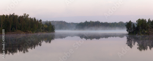 morning landscape on a forest lake