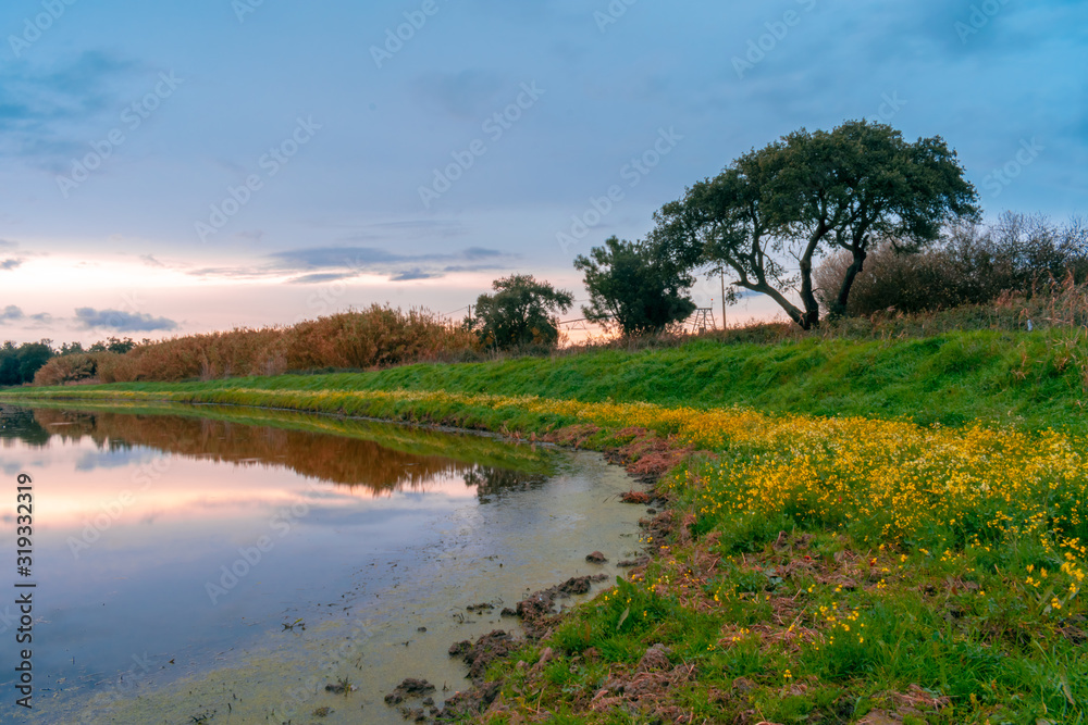 landscape with river