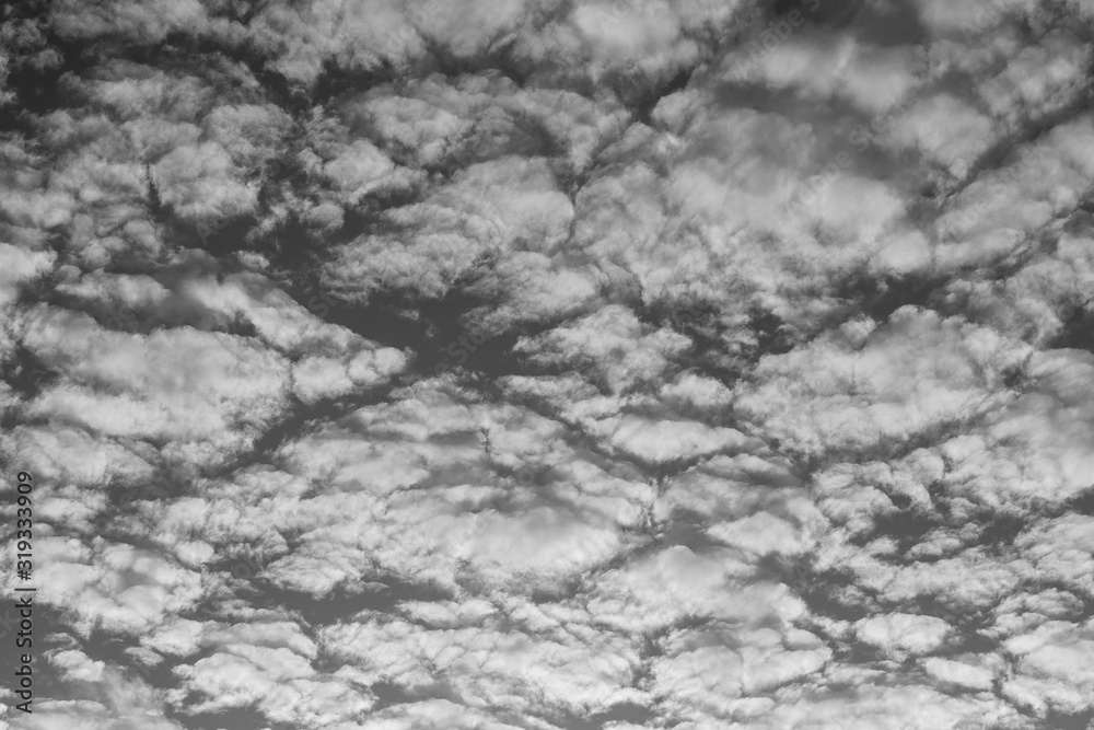 Naklejka premium White clouds on a sky background. Black and white
