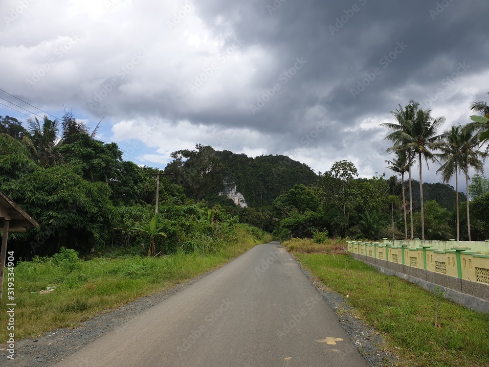 Fototapeta premium south borneo