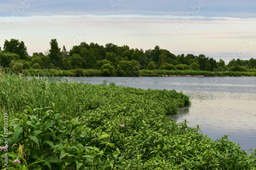 lake in the forest