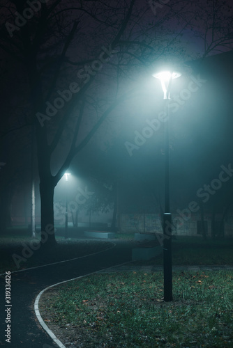 Lampposts in park on a foggy night