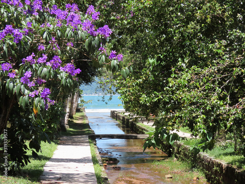 River that flows into the sea with a small trail around it surrounded by purple flowers and trees