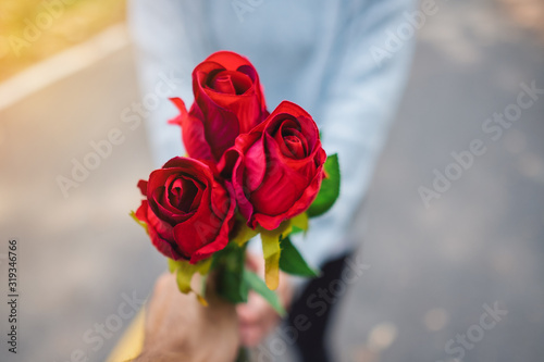 A women receiving a red rose flower from her boyfriend on Valentine's day