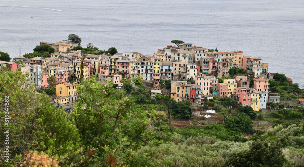 Obraz premium Corniglia