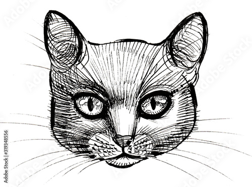 Ink black and white sketch of a cat head © berdsigns
