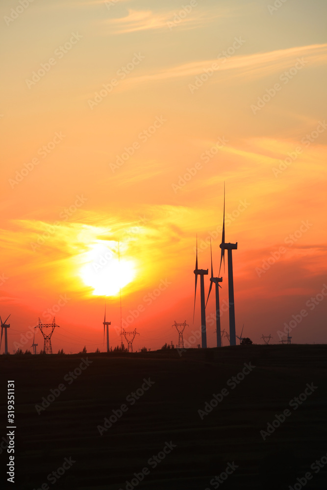 Obraz premium Wind turbines in the evening