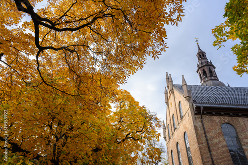 Canvas Print In the courtyard of the Oslo Cathedral in the autumn The trees in the garden of the leaves turn yellow and orange
