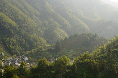 Mountain village of Dongchong with tea plantation near Feng Le Lake Huangshan China © Reimar