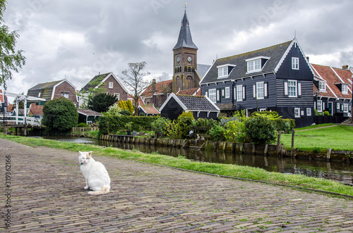 Photography Traditional wooden fishing houses, canal and cat, Marken, Netherlands