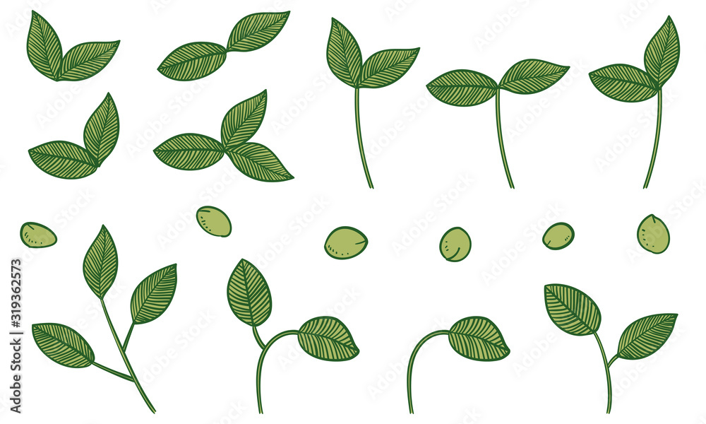 植物のイラスト 葉っぱ 葉脈 実 Stock Vector Adobe Stock