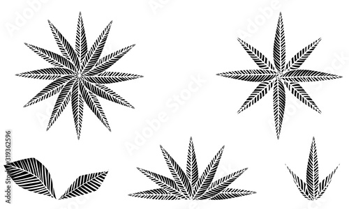 植物のイラスト：葉っぱ、葉脈、原始的なイメージ