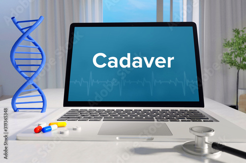 Cadaver – Medicine/health. Computer in the office with term on the screen. Science/healthcare