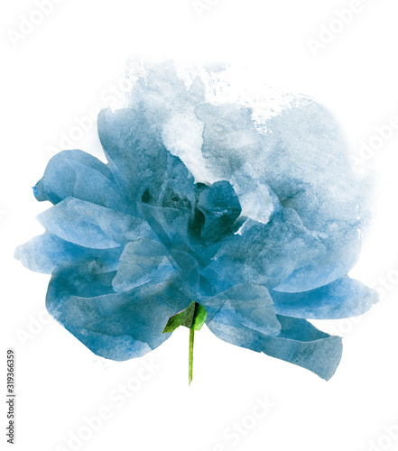 Fototapeta Naklejka Na Ścianę i Meble -  Watercolor flower , isolated on white background