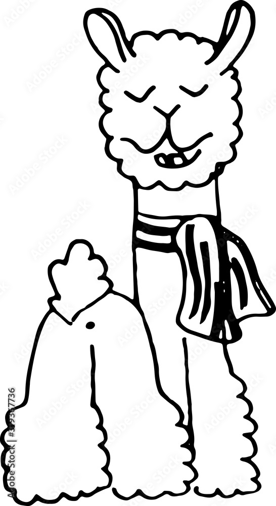 Fototapeta premium cute doodle alpaca for greeting cards, prints, kids illustrations and thematic designs