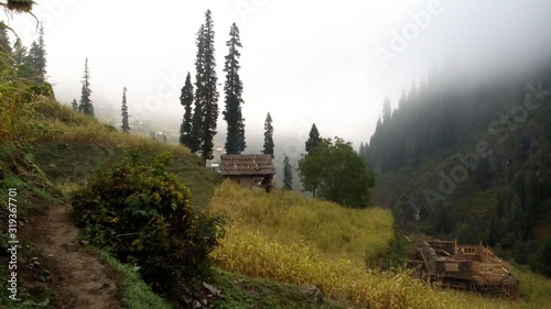 a hut and forest in mountains