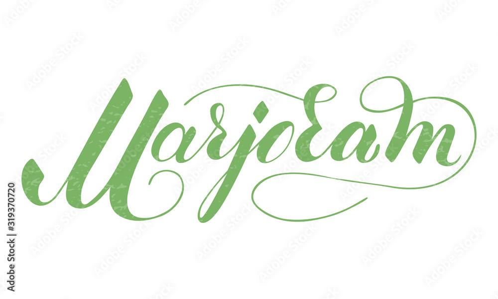 Vector hand written marjoram text isolated on white background. Kitchen healthy herbs and spices for cooking. Script brushpen lettering with flourishes. Handwriting for banner, poster, product label
